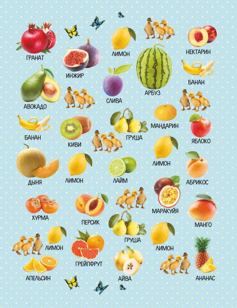 Доманская Л.В., Максимова И.Ю. - Овощи, фрукты, ягоды. Что где растёт (Пряталки и находилки) - 2017_pic30.jpg