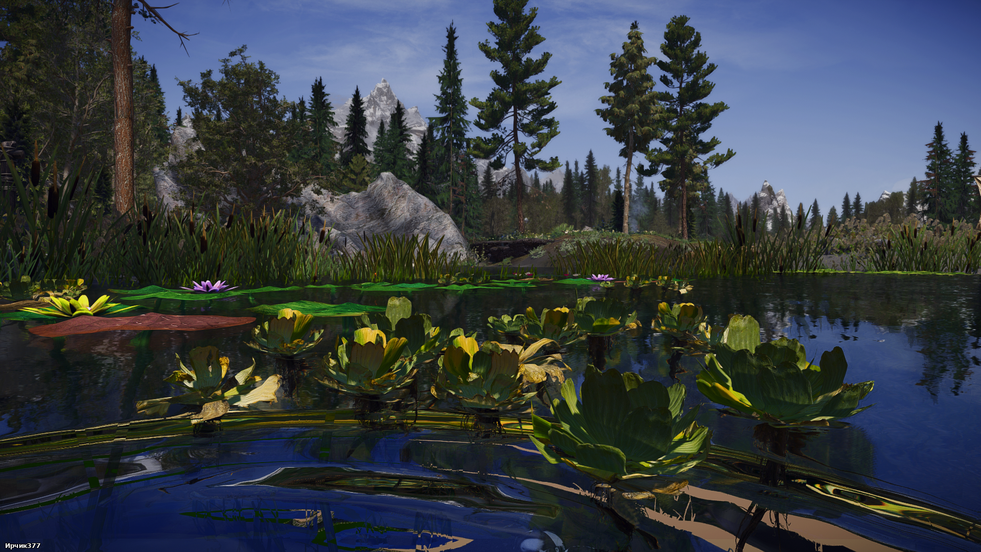 The Elder Scrolls V  Skyrim Special Edition Screenshot 2026.01.31 - 19.29.42.39.png