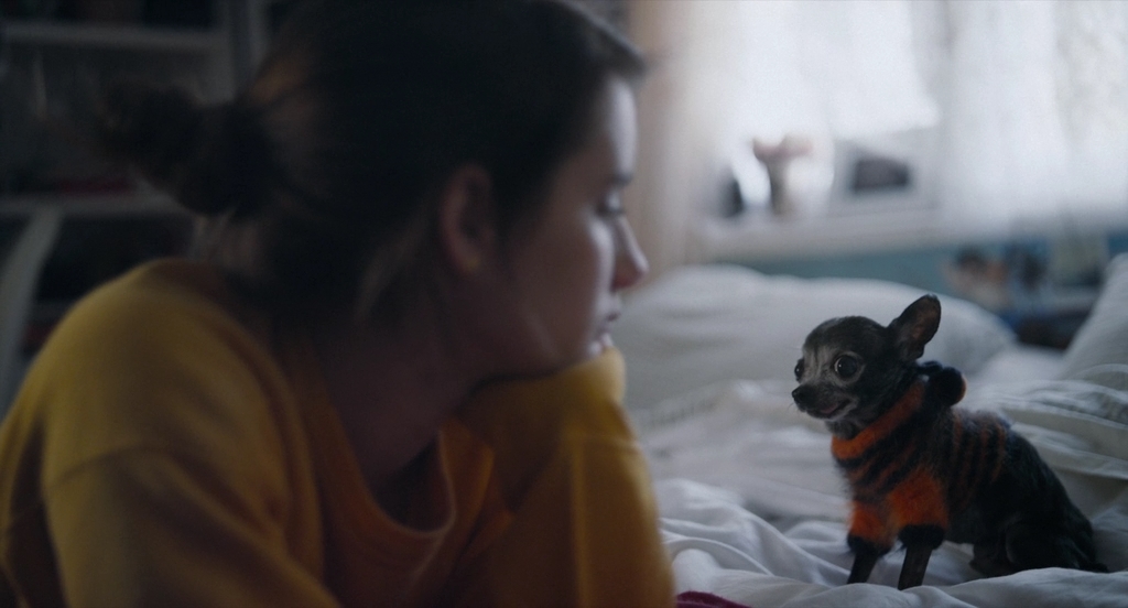 Пало-Альто.2013.BDRip AVC msltel.mkv_snapshot_00.37.29.721.jpg