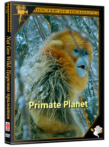 Nat Geo Wild: Царство приматов / Primate Planet (2025) HDTV 1080p | P1