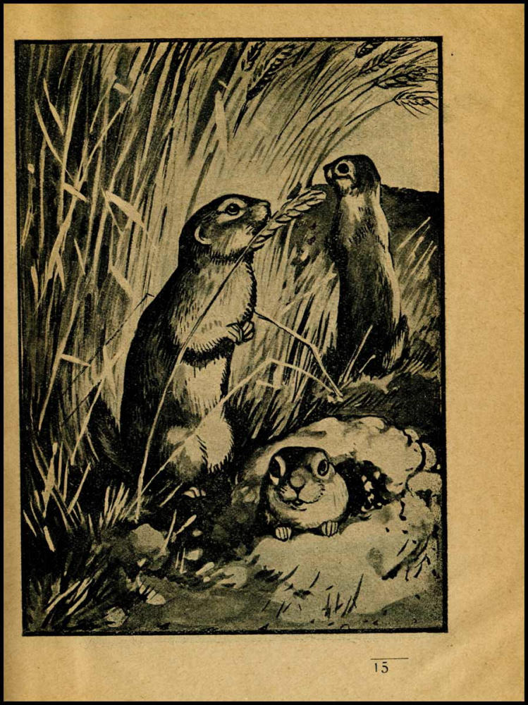 Дебогори Н. (Что надо знать крестьянину) - 1925_pic15.jpg