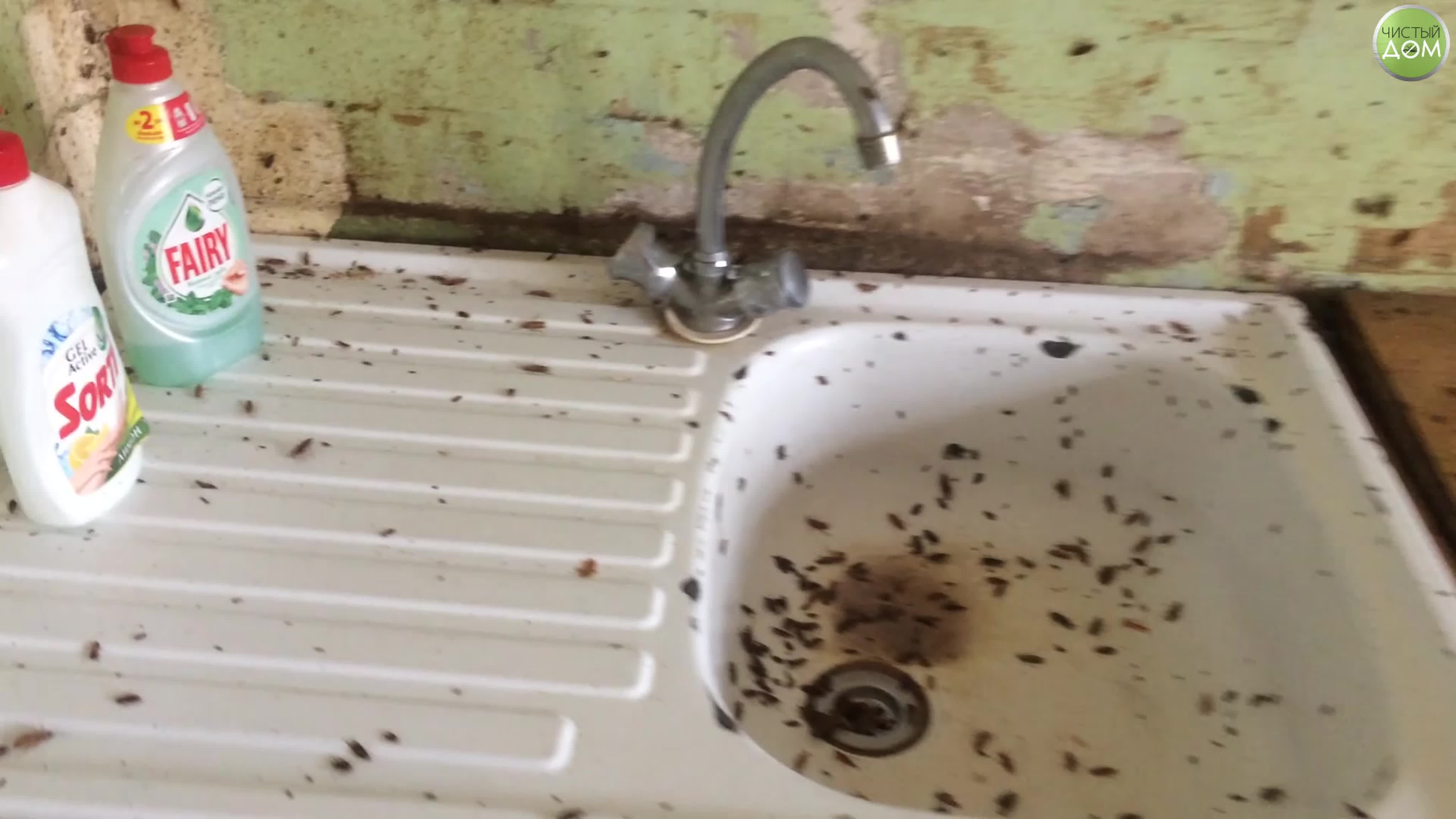 Аллергия и сыпь