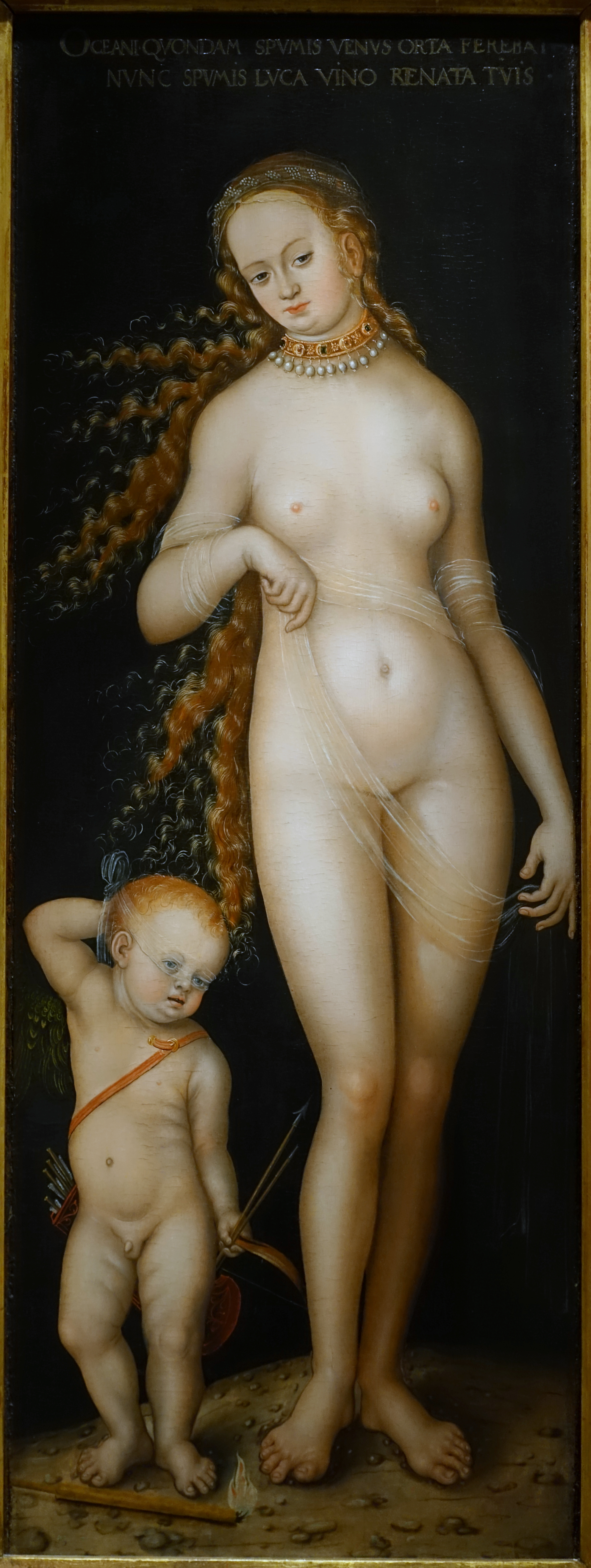 39Venus_and_Amor,_by_Lucas_Cranach_the_Elder,_German,_1518-1520,_oil_on_wood_panel_-_Princeton_University_Art_Museum_-_DSC06652.jpg