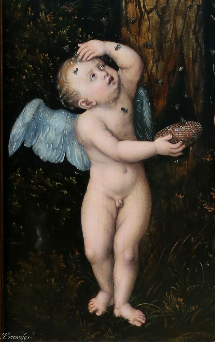 49Cranach_il_vecchio,_cupido_si_lamenta_con_venere,_1530_ca12.jpg