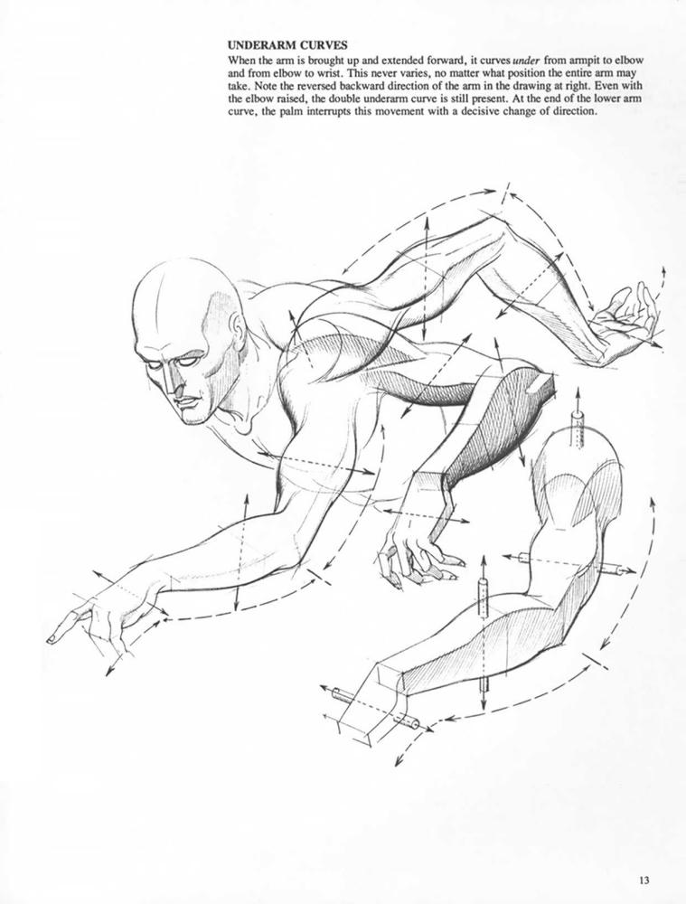 Drawing Dynamic Hands_pic10.jpg