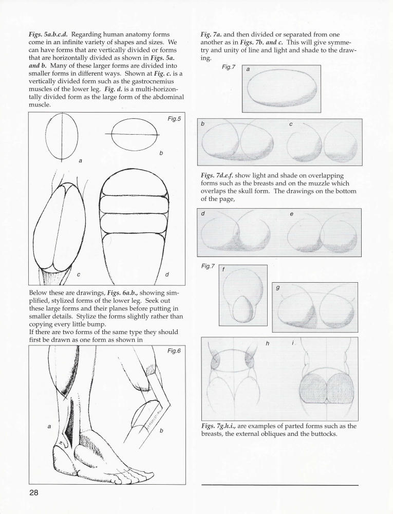 Jack Faragasso - Mastering Drawing the Human Figure - 2004_pic30.jpg