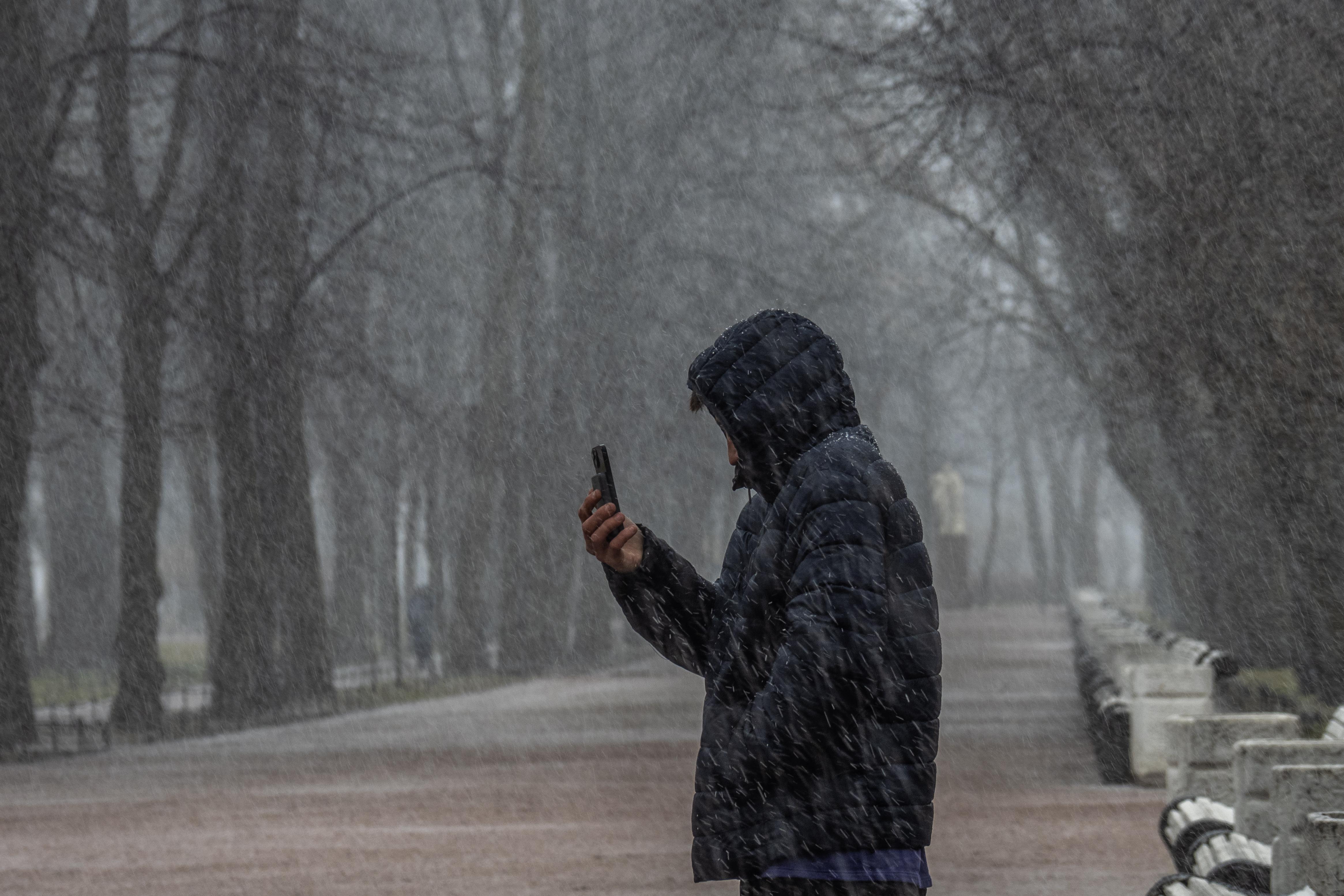 Прогноз РАЭК: цифровой суверенитет России к 2028 году