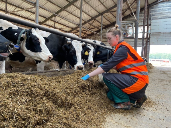 Агрокомплекс на 3700 голов в Зюкайке получил одобрение госэкспертизы