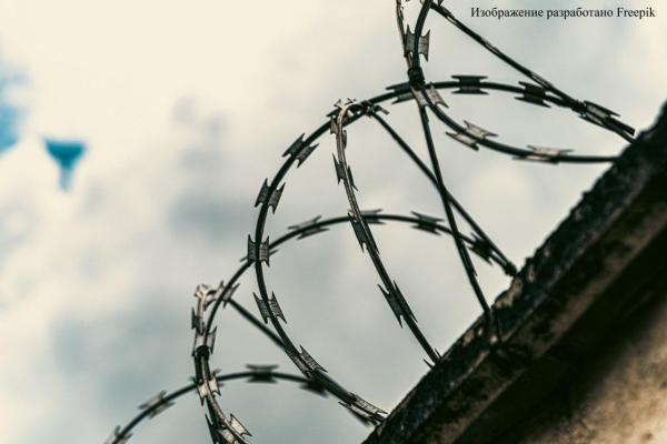 В Пермском крае супруга заключенного скрыла спирт в посылке с инсектицидом