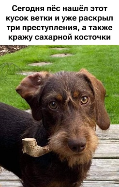 https://i3.imageban.ru/out/2026/03/16/53711dea414947e1dc8748767065865d.jpg