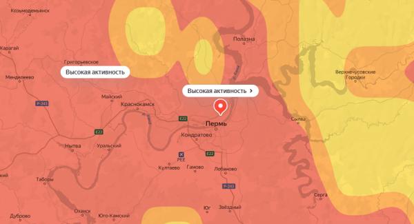 В Перми повысилась концентрация пыльцы ольхи в воздухе