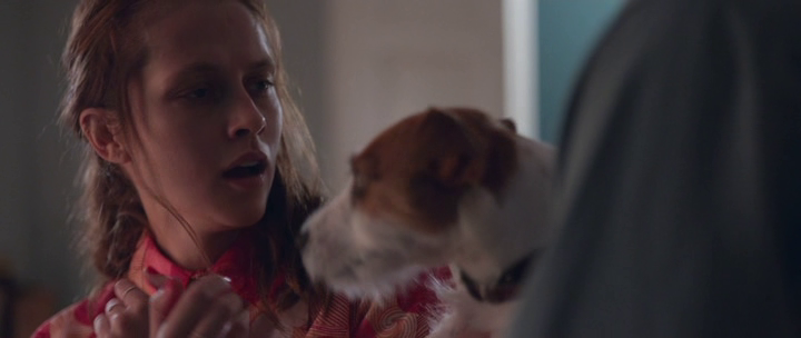 Берлинский синдром / Berlin Syndrome / 2017 / ПМ / UK Transfer / BDRip