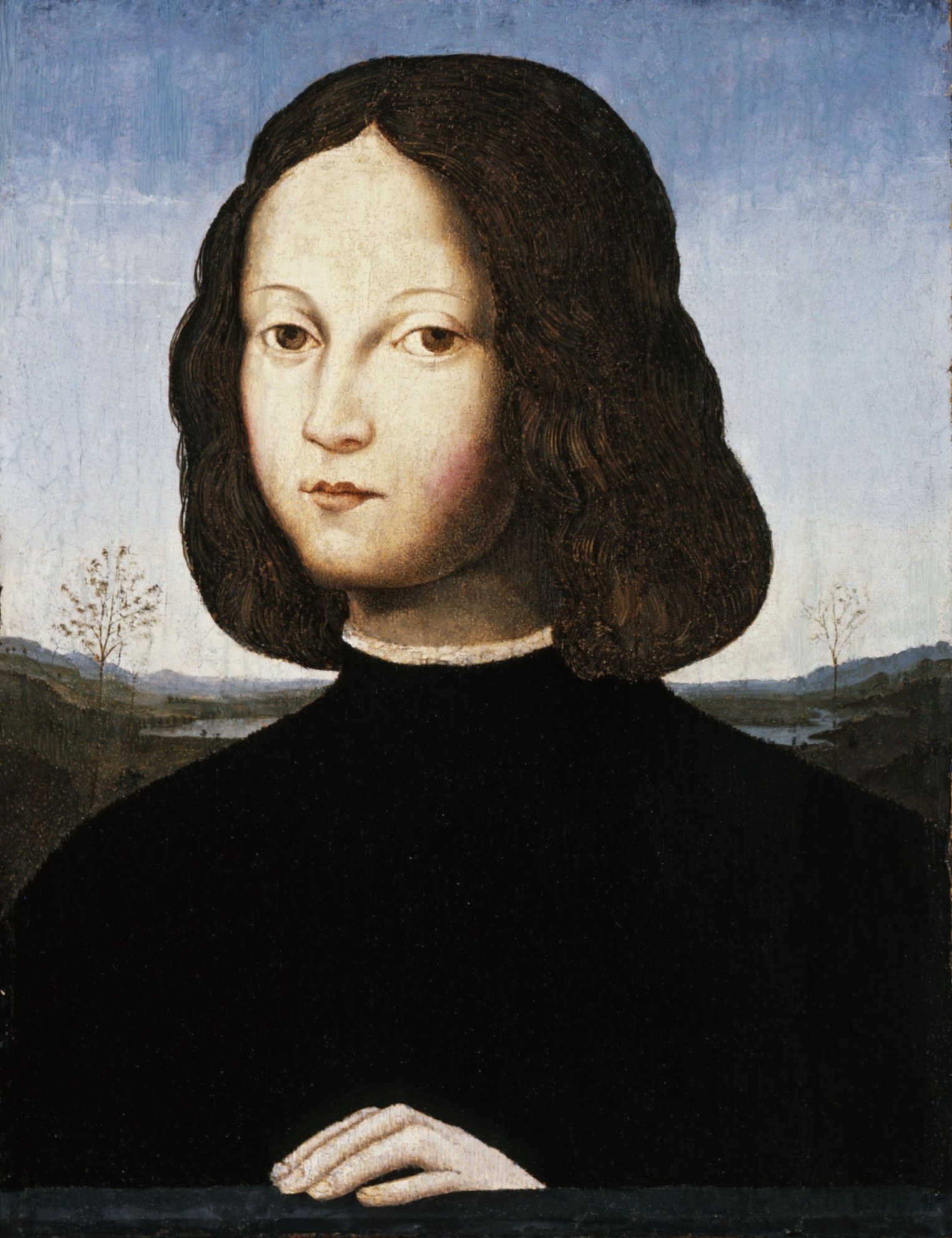 5Portrait of a boyPiero_di_Cosimo_(atribui??o)_-_Retrato_de_menino.jpg