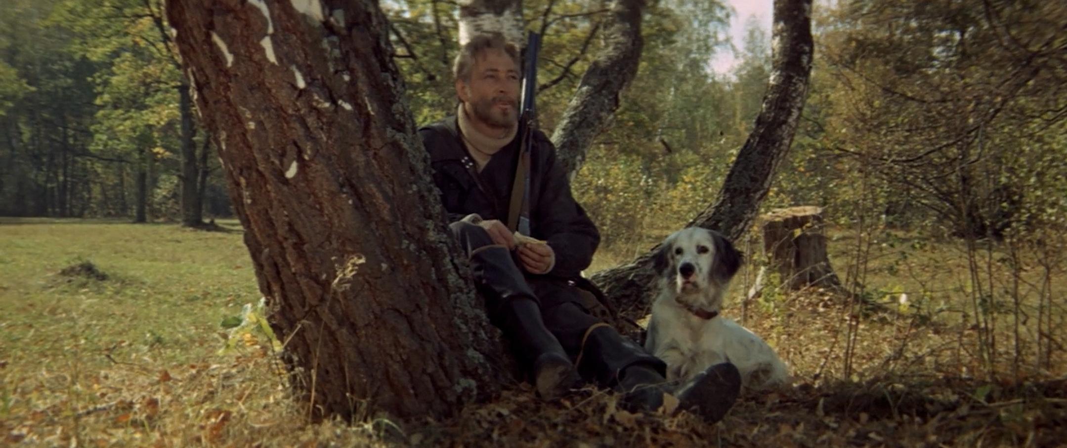 Трагедия сеттера Бима: помнят ли жители Пермского края детали легендарного сюжета