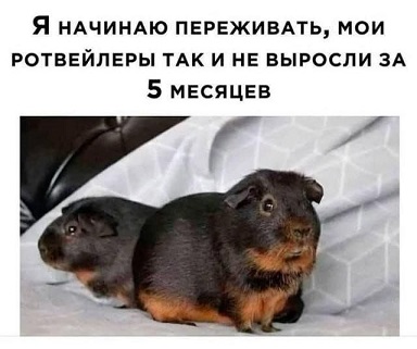 https://i3.imageban.ru/out/2026/04/10/a6d0f0eb15b4e749c6dd2e8dc1ff9c8b.jpg