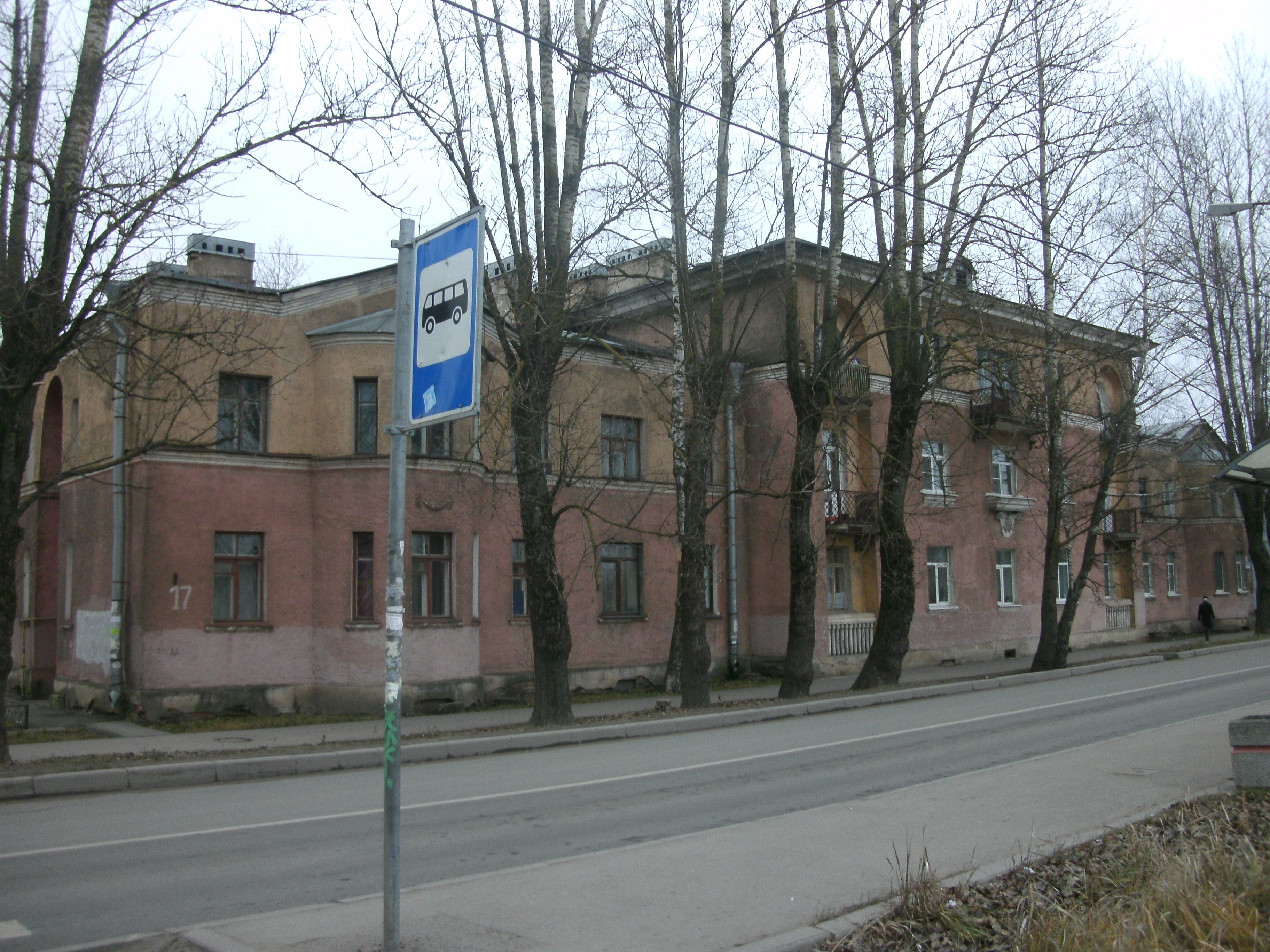 Металлострой, Железнодорожная 17_1.JPG