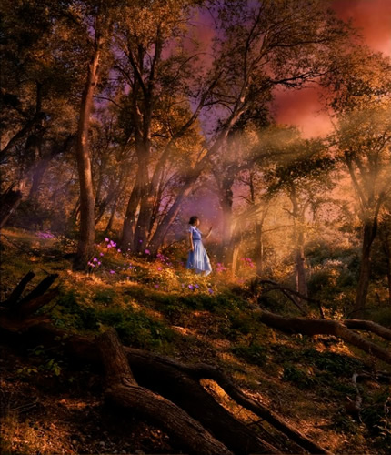 Adobe Premiere Pro 2026 (v26.2) Multilingual