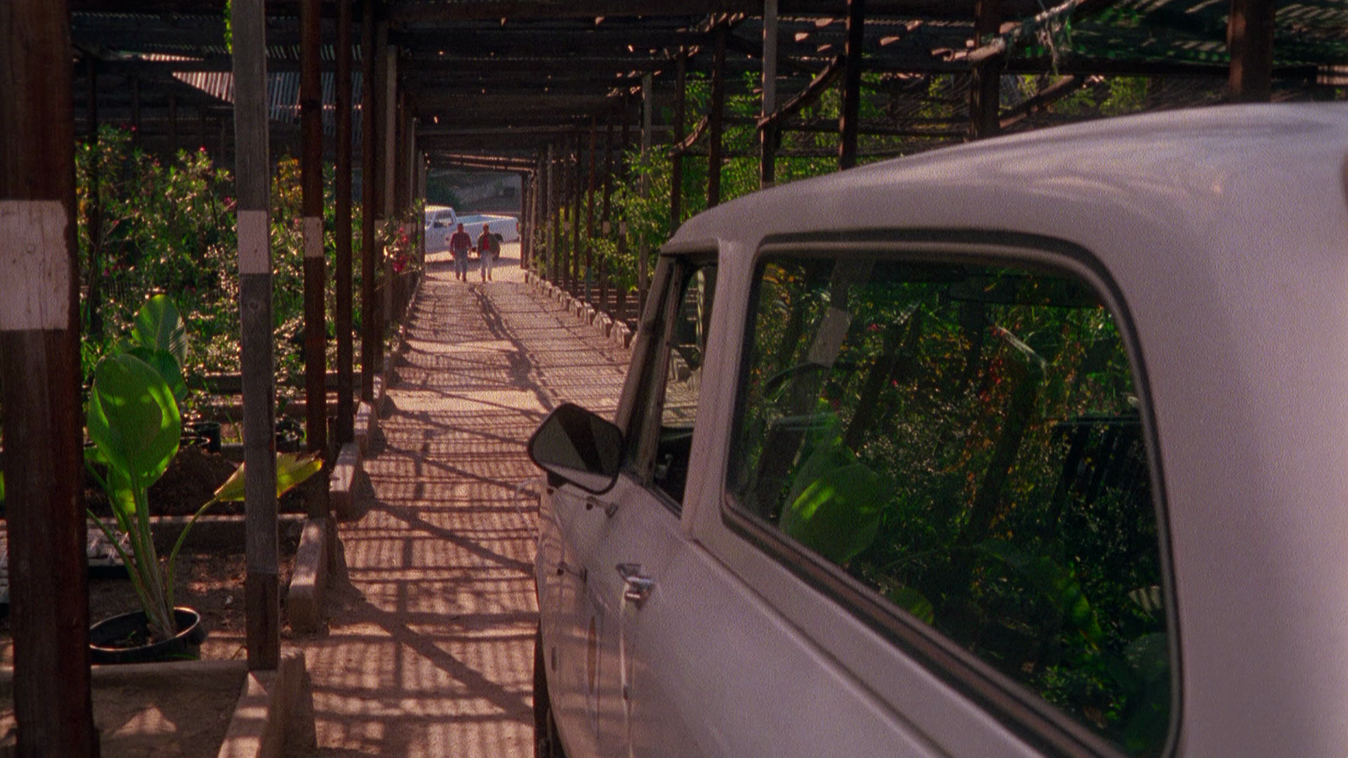 Seedpeople.1992.Umbrella.Entertainment.BDRemux.1080p.mkv_20260418_100238.982.png