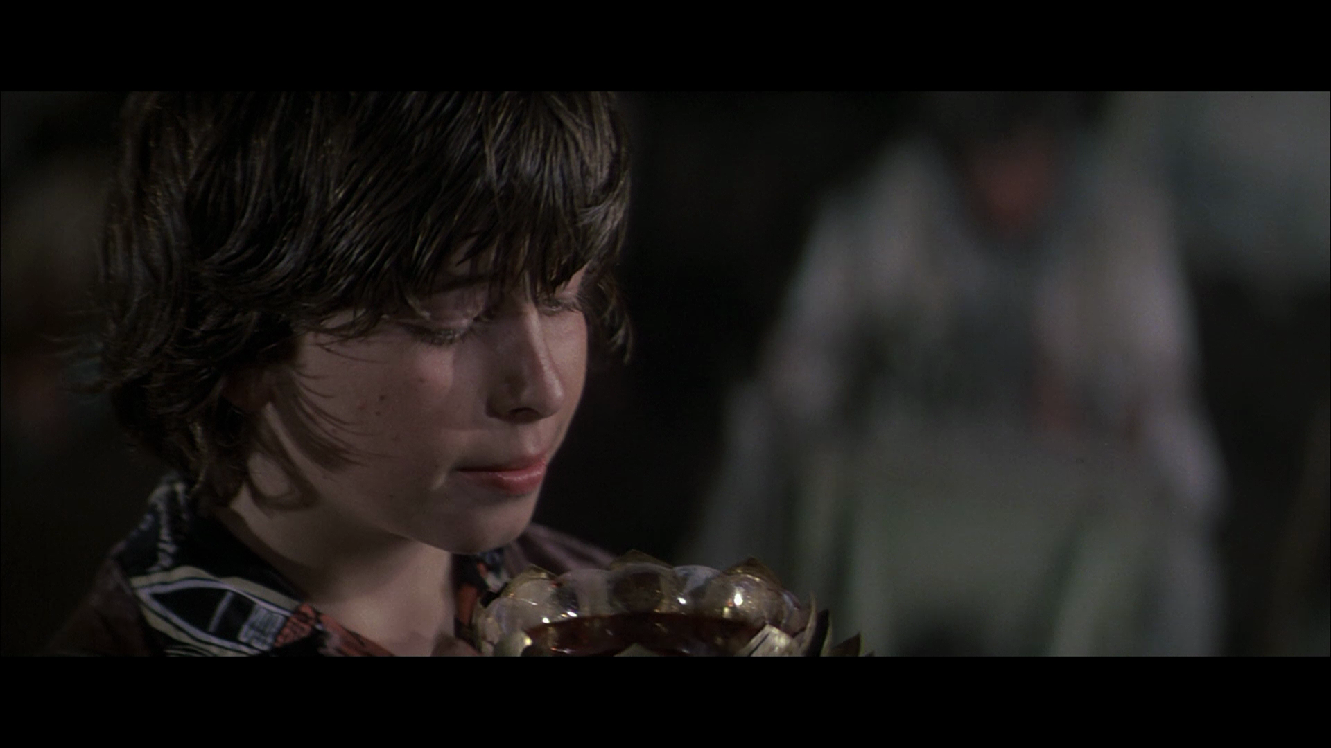 The.Island.1980.Shout.Factory.BDRemux.1080p.mkv_20260419_102446.731.png