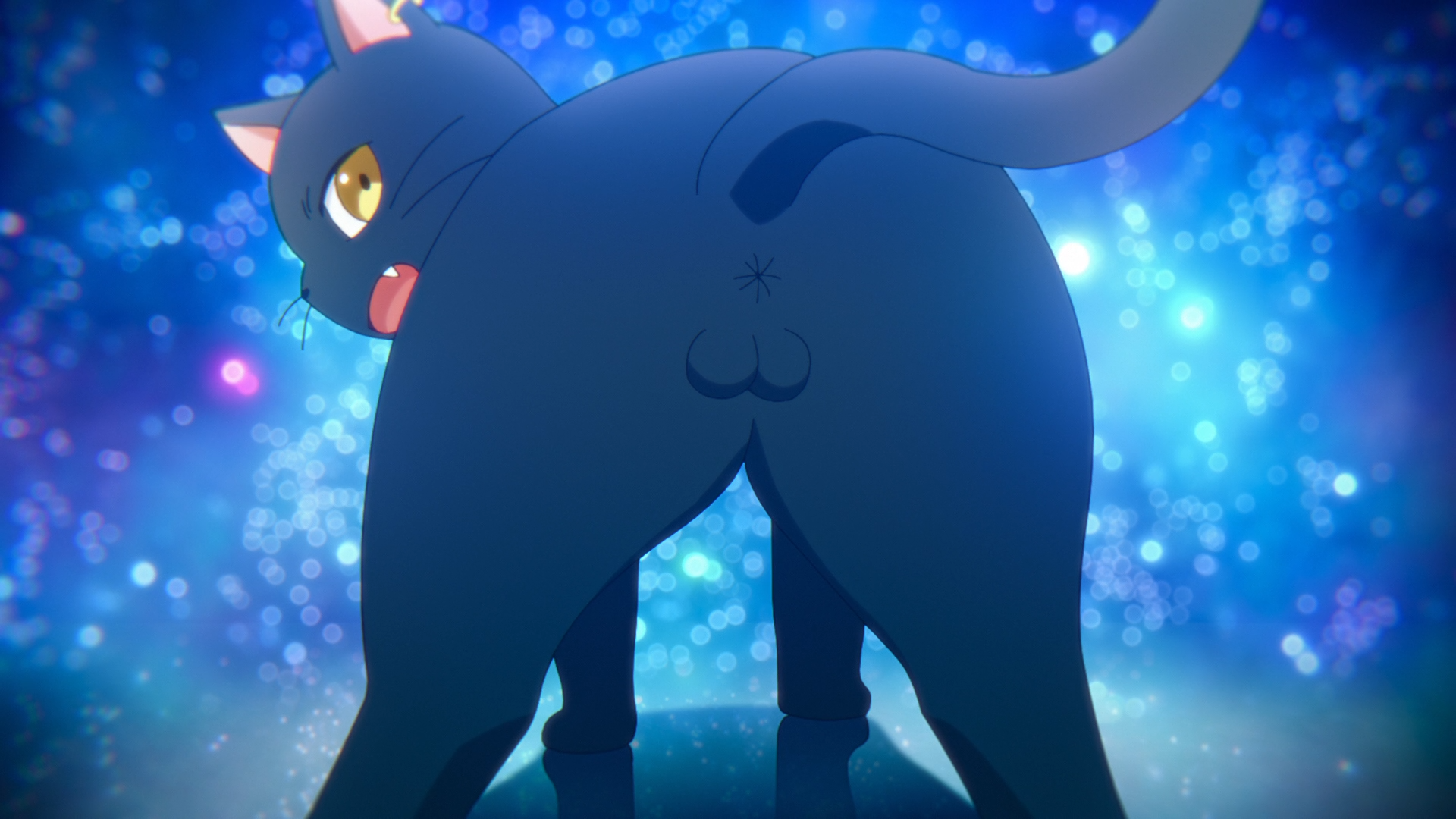 Kuro Neko to Majo no Kyoushitsu - 02 (WEBRip 1920x1080 x264 AAC Rus + Jap).mkv_snapshot_00.20.852.png