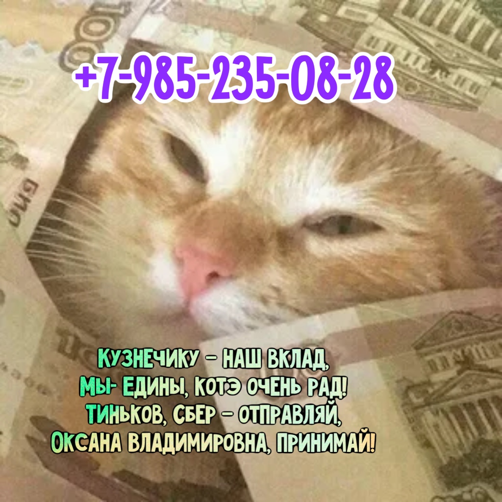 https://i3.imageban.ru/out/2026/04/21/1ff2541ba4c040d156fb2cf78da7d7ca.jpeg