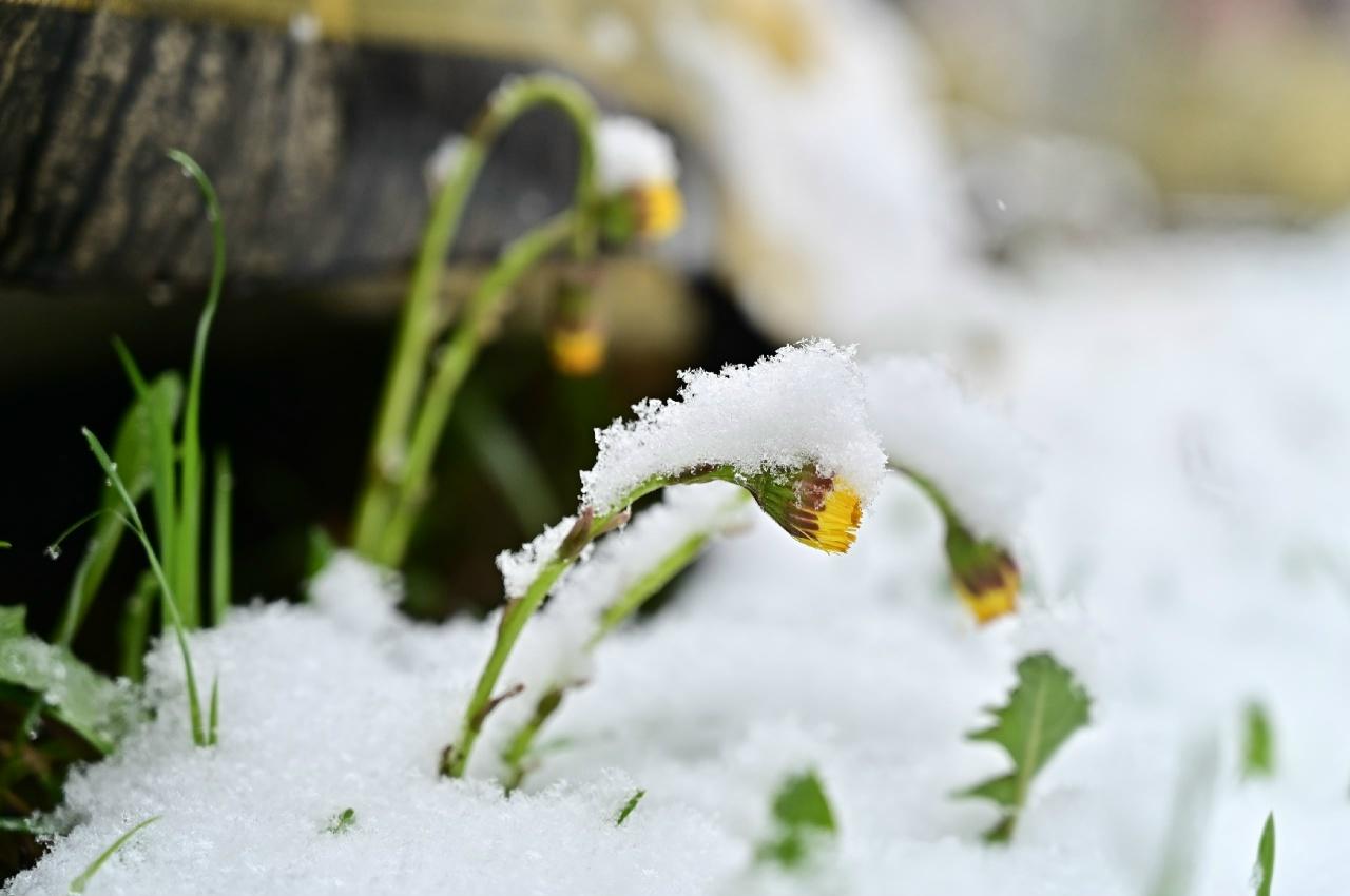 Пермякам обещают потепление: прогнозы синоптика Андрея Шихова
