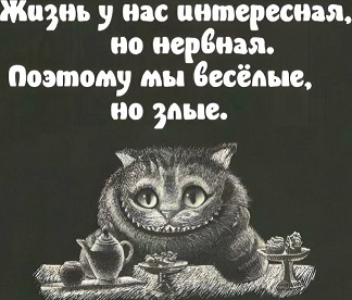 https://i3.imageban.ru/out/2026/04/22/e1c1dfbd654b8b15c4874f79695b9ce7.jpg