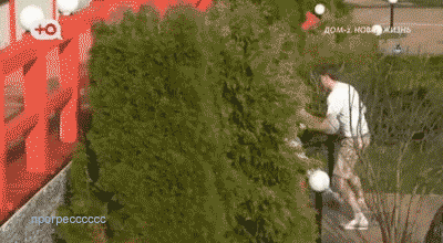https://i3.imageban.ru/out/2026/04/23/9b4ed06063dd0b21100b5892f3199321.gif