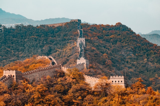 hanson-lu-_8EFj6ISA08-unsplash.jpg