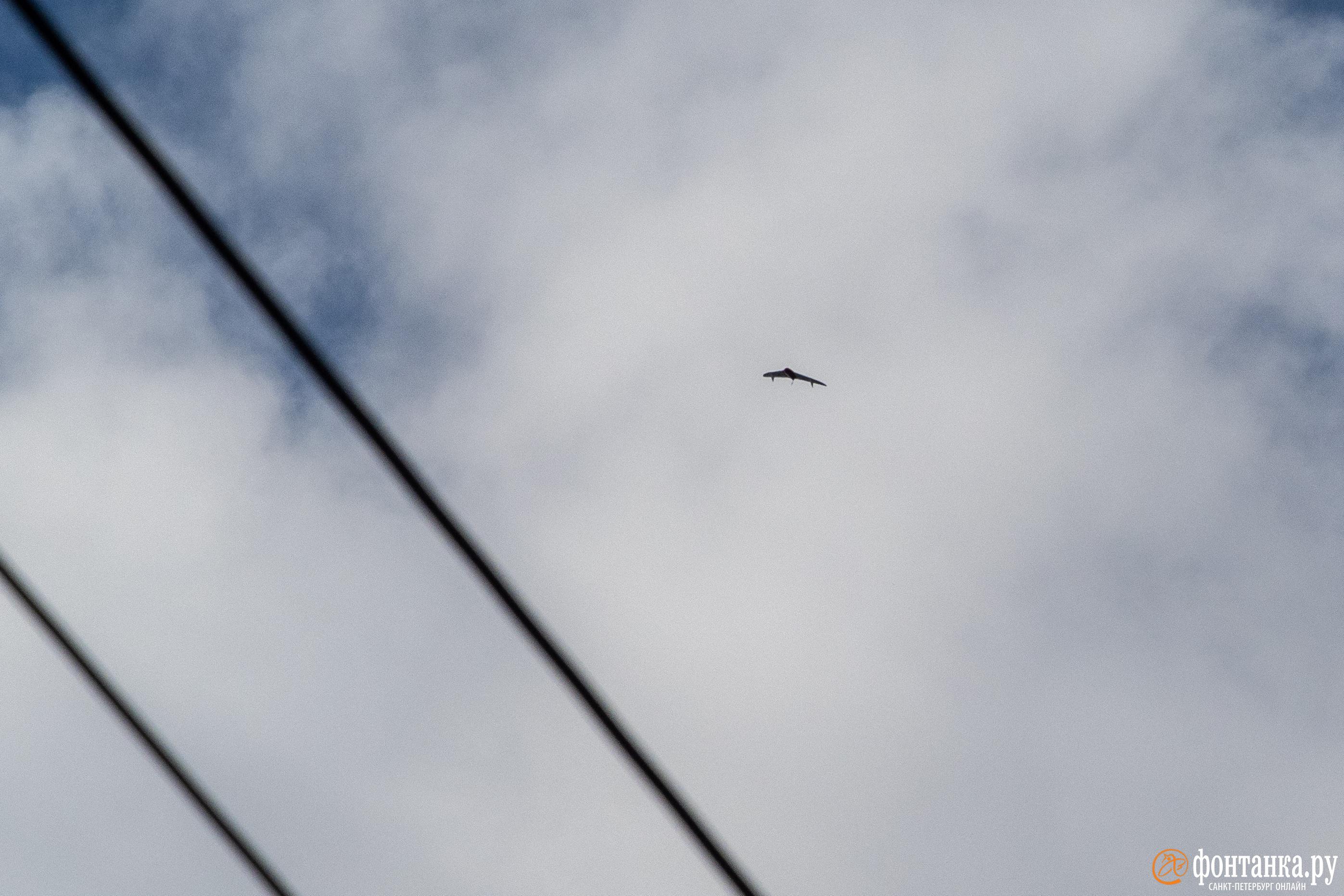 В Екатеринбурге беспилотник врезался в жилой дом, в Татарстане сбили дрон