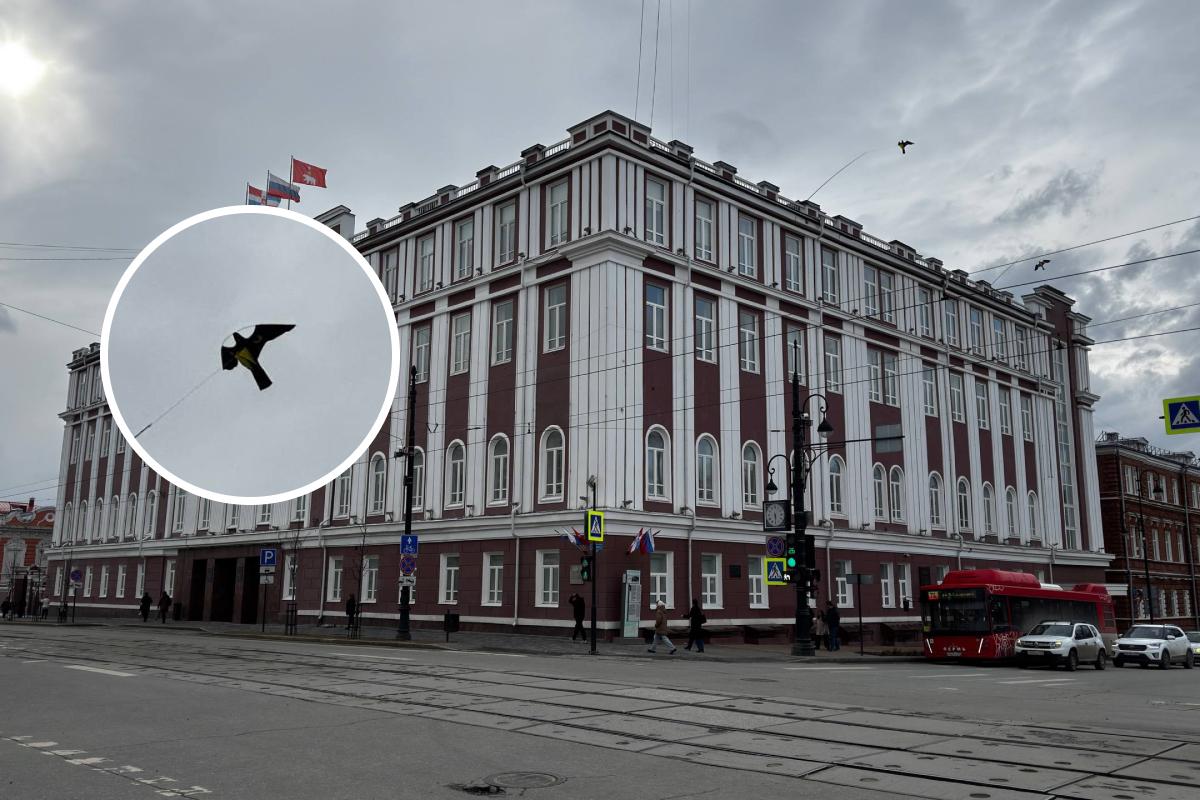 Над мэрией Перми «полетели» гигантские птицы для отпугивания голубей