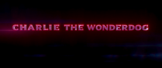 ����� ����-�� / Charlie the Wonderdog (2025/WEB-DL/WEB-DLRip)
