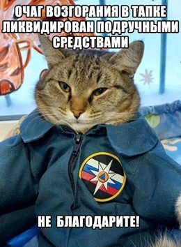 https://i3.imageban.ru/out/2026/05/01/06f77f2c92648ccd0320008e902fd44b.png