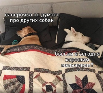 https://i3.imageban.ru/out/2026/05/01/b4207cb25aa447d6e8828b17d83335c1.jpg