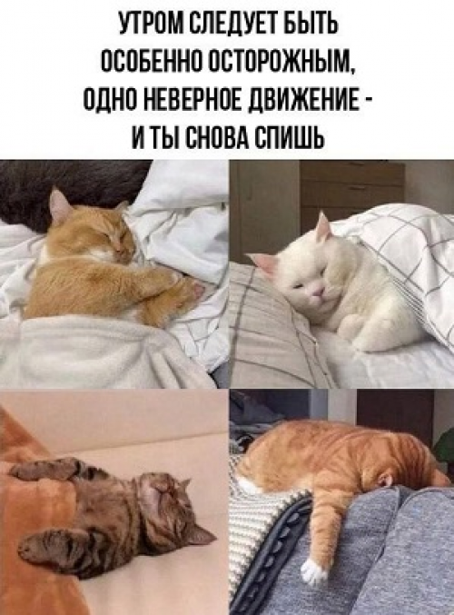 изображение_2026-05-02_134935674.png