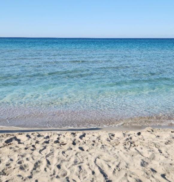 Экспедиция оценила последствия разлива мазута в Черном море