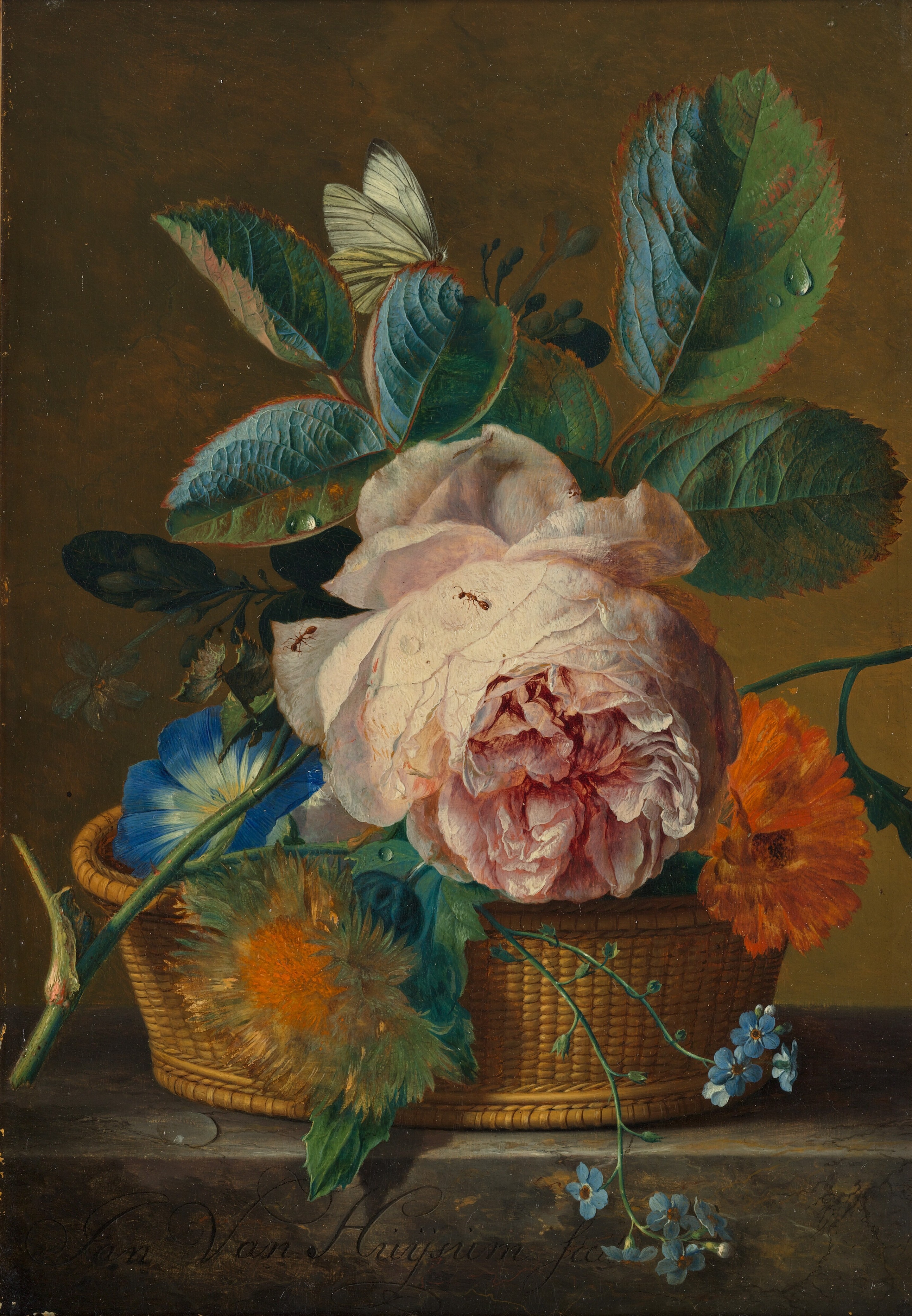 34Jan_van_Huijsum_-_Mandje_met_bloemen_-_2501_(OK)_-_Museum_Boijmans_Van_Beuningen.jpg