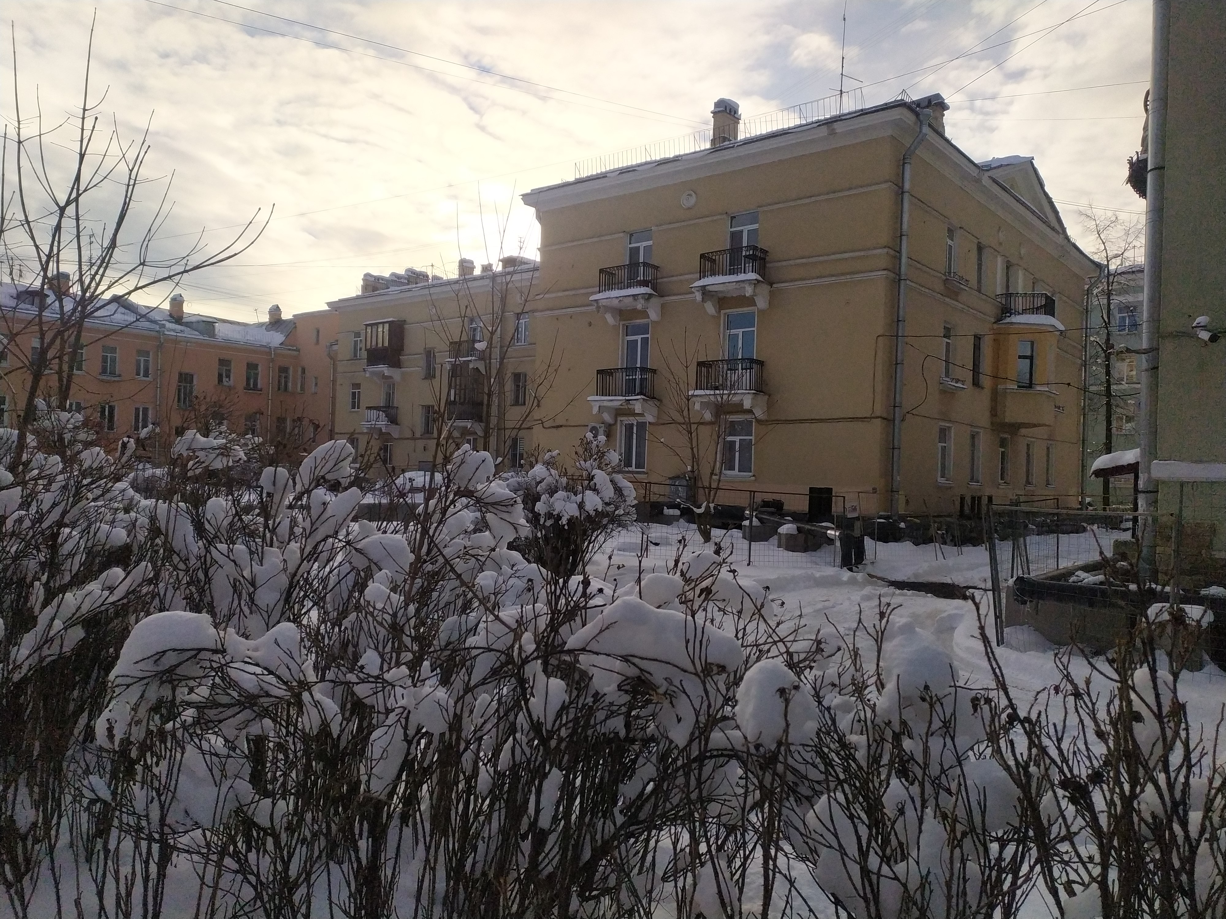 Колпино, Культуры 9_3.JPG