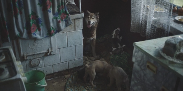 Chernobyl.S01E04.MVO.AVO.rus.HDRip.mp4_snapshot_00.44.36_[2026.05.04_19.43.45].png