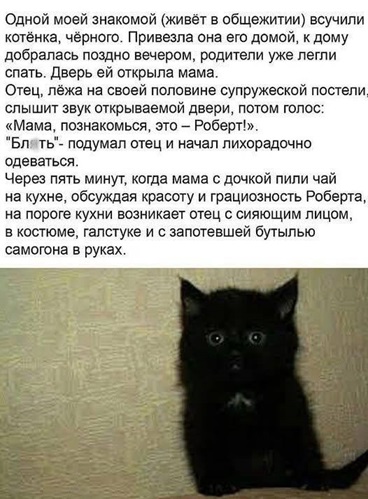 https://i3.imageban.ru/out/2026/05/09/31eeb3565aec95309537cf9568b52375.jpg