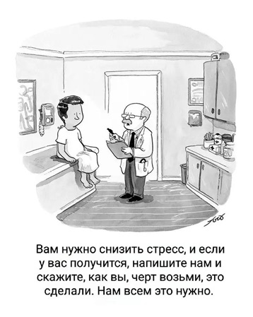 https://i3.imageban.ru/out/2026/05/09/e2a563f5cc71408a9ac110d38baea839.jpg