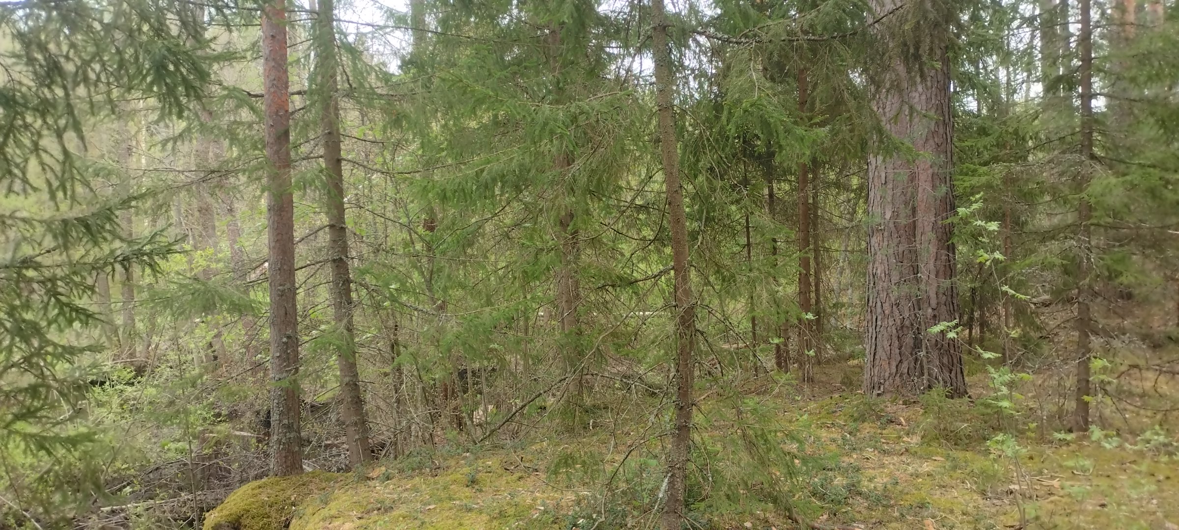 IMG_20260510_115715.jpg