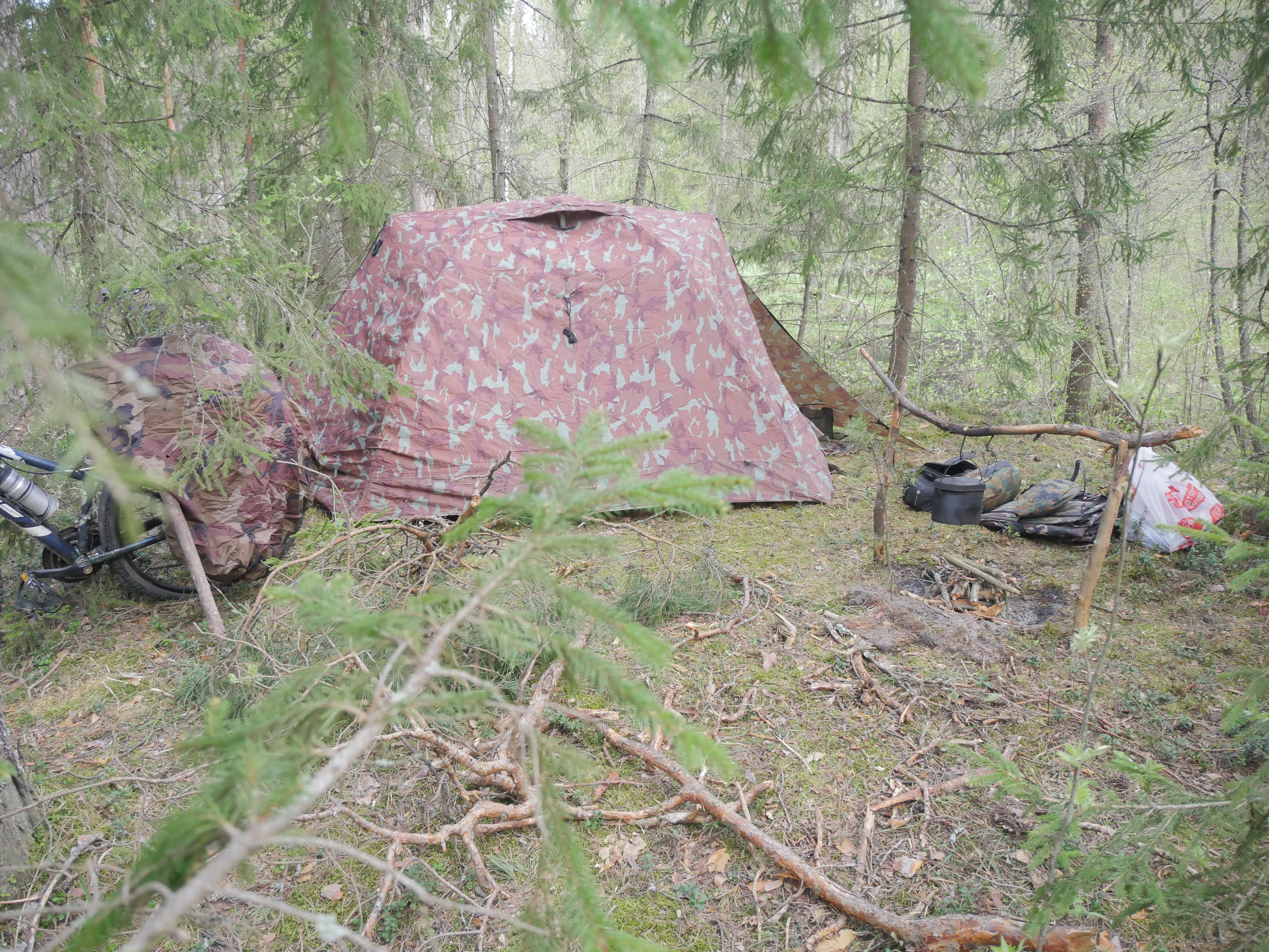 P1570015.JPG