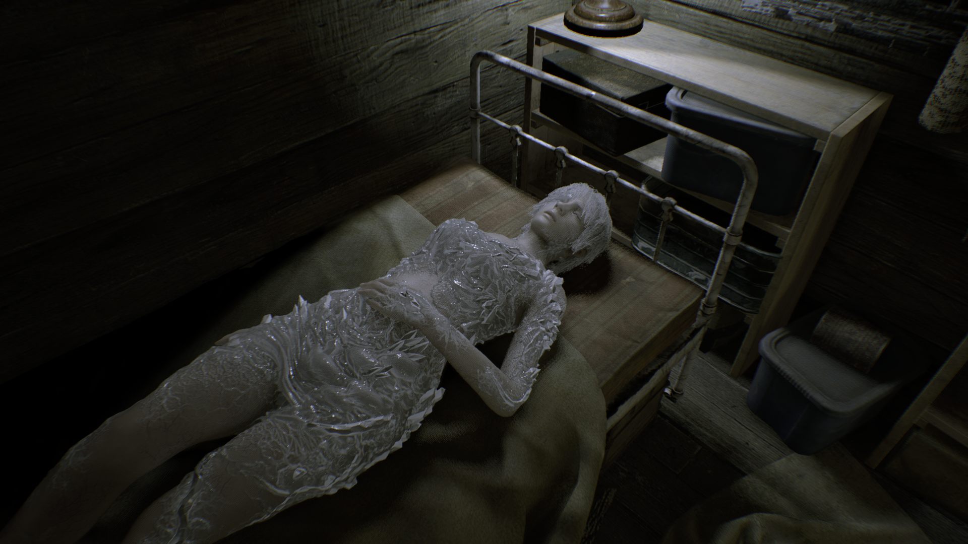 re7_4095.png.jpg