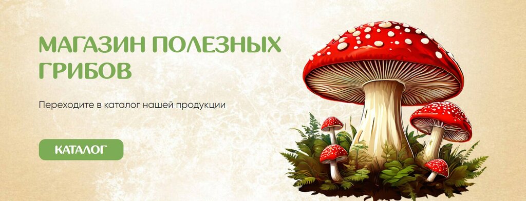 https://i3.imageban.ru/out/2026/05/14/56b803264e74563aa0e8393791f14c58.jpeg