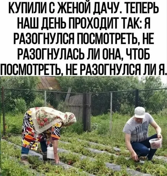 https://i3.imageban.ru/out/2026/05/14/82d12419011239357b003d776bda1665.webp