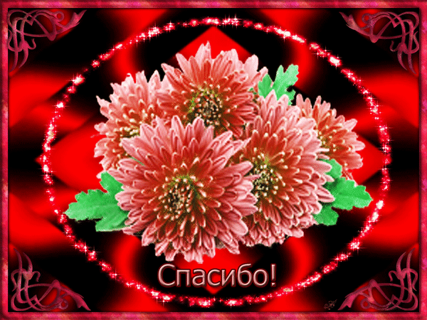 https://i3.imageban.ru/out/2026/05/16/f3c985d93b40de06e10ec8b5e74a307e.gif