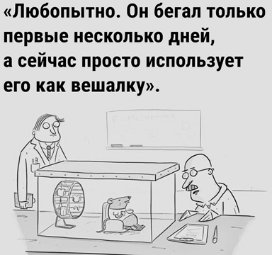 https://i3.imageban.ru/out/2026/05/17/19ccfe79240a02e9406a3c32747aba7f.png