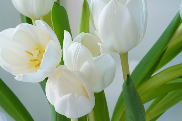 https://i3.imageban.ru/out/2026/05/18/47f007945b1b2288826c9845bddd7ff1.jpg