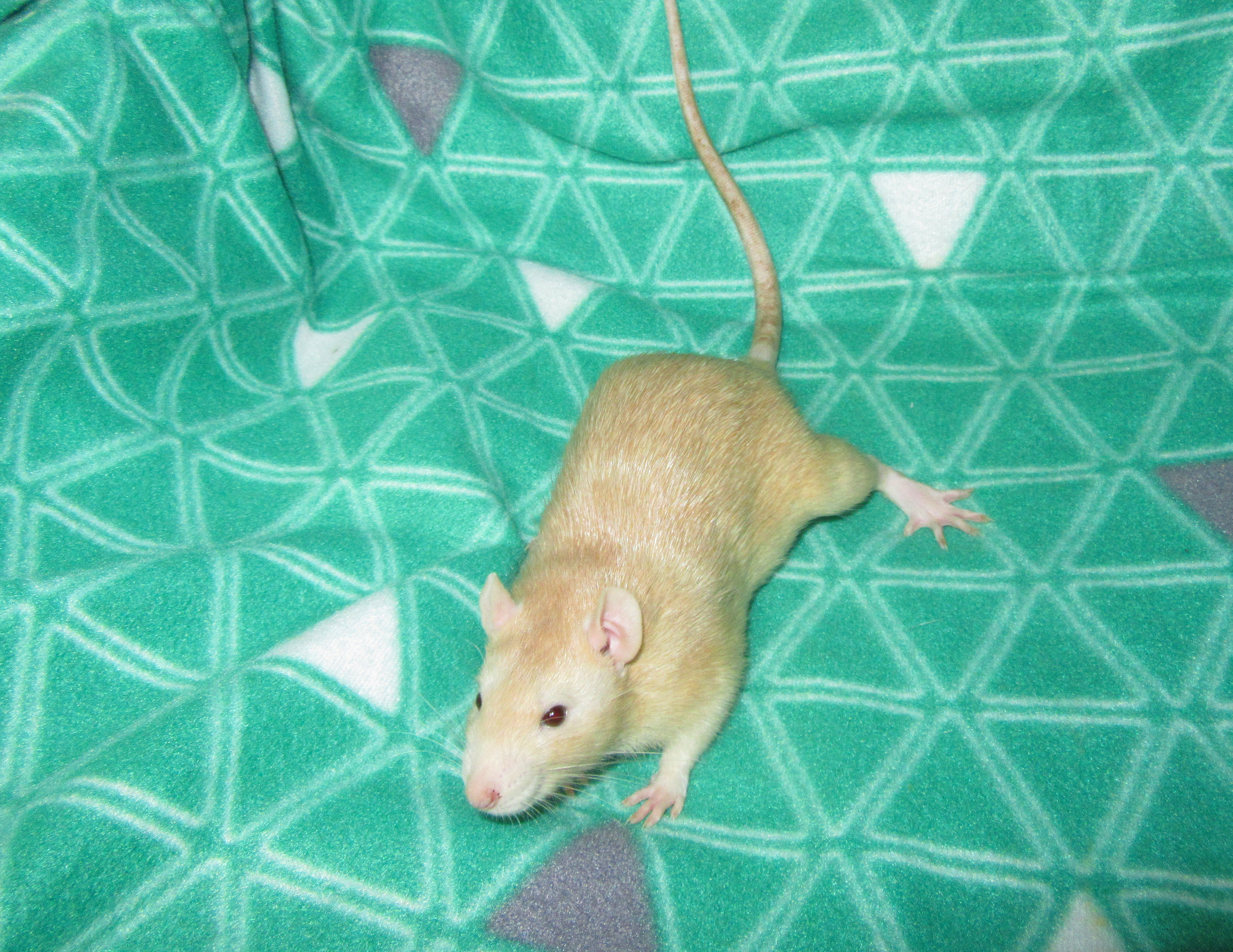 Марик 02.jpg
